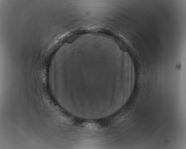 X0000116100689200912211612