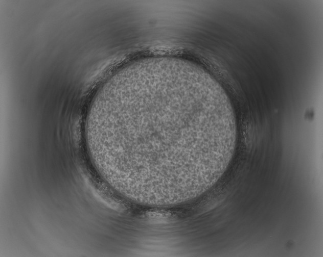 X0000116100690200912211612