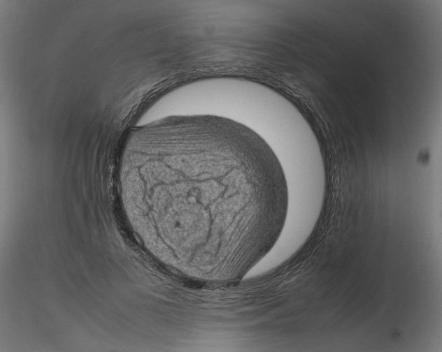 X0000116100693200912211612