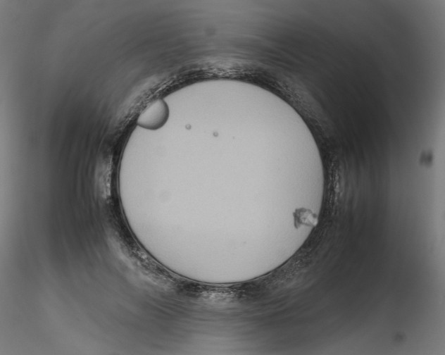 X0000116100694200912211612