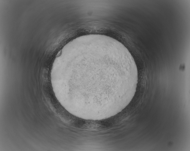 X0000116100695200912211612