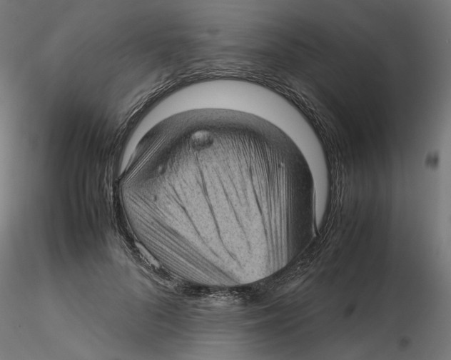 X0000116100696200912211611