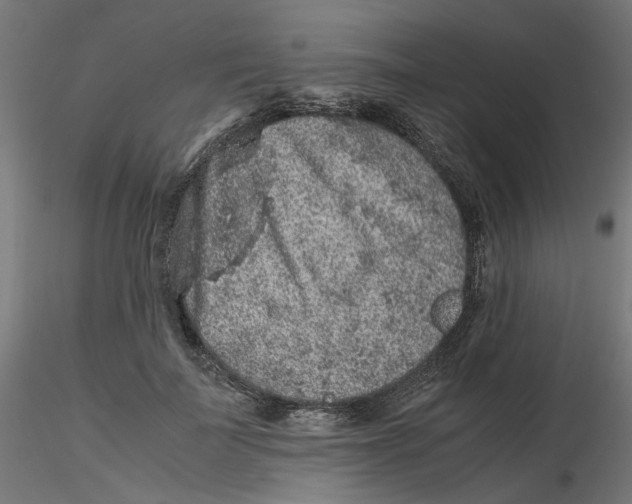 X0000116100699200912211611