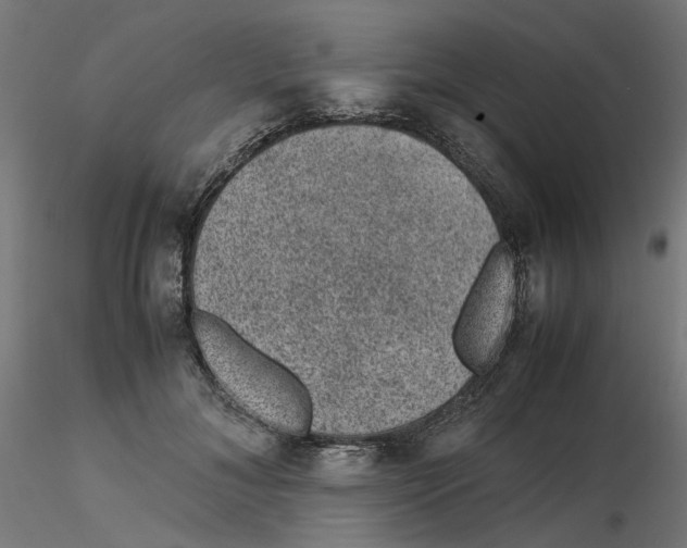 X0000116100700200912211611