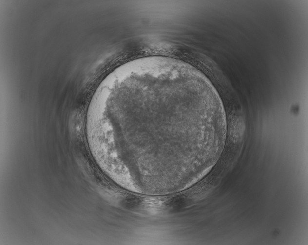 X0000116100701200912211611