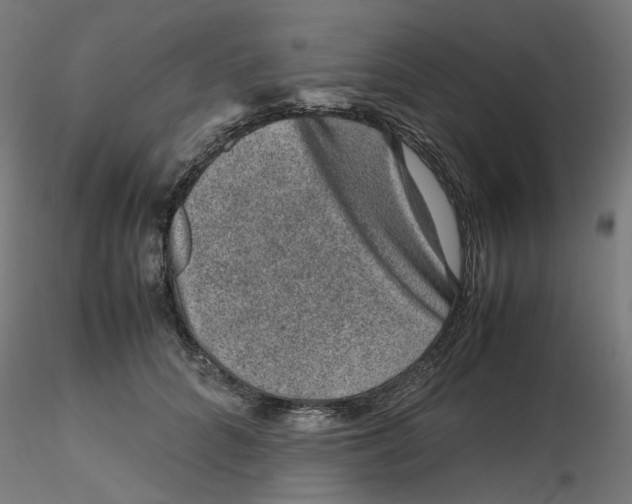 X0000116100704200912211611