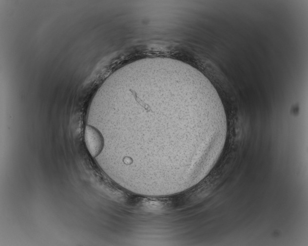 X0000116100706200912211611