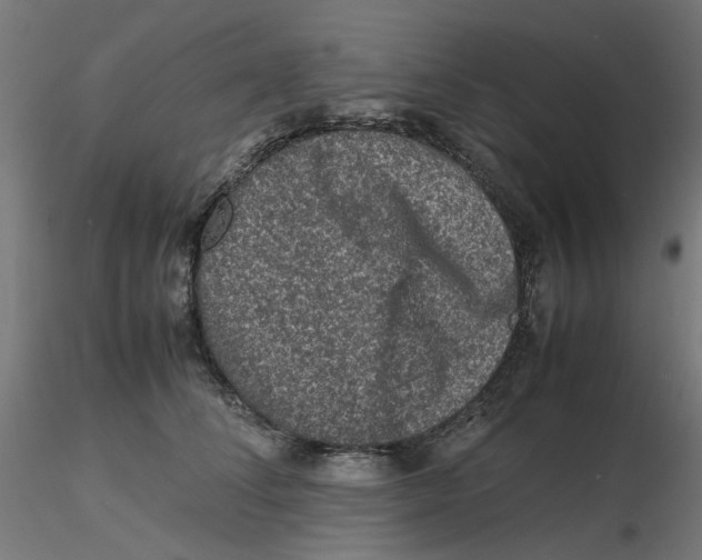 X0000116100708200912211611