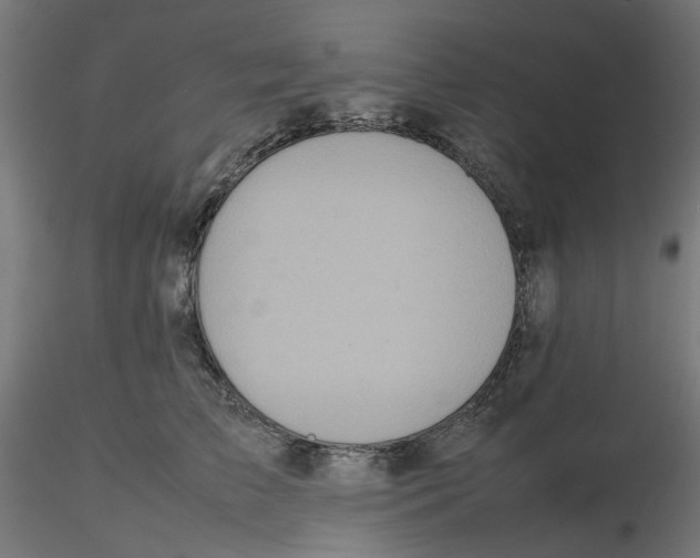 X0000116100709200912211611