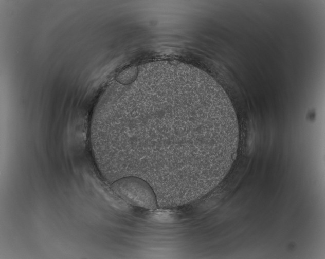 X0000116100710200912211611