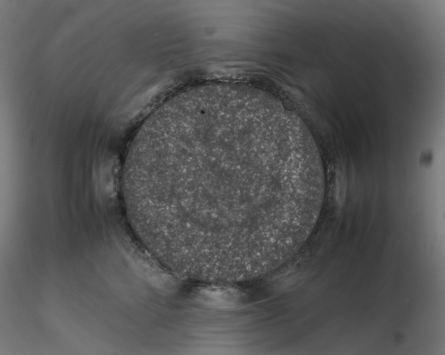 X0000116100712200912211611