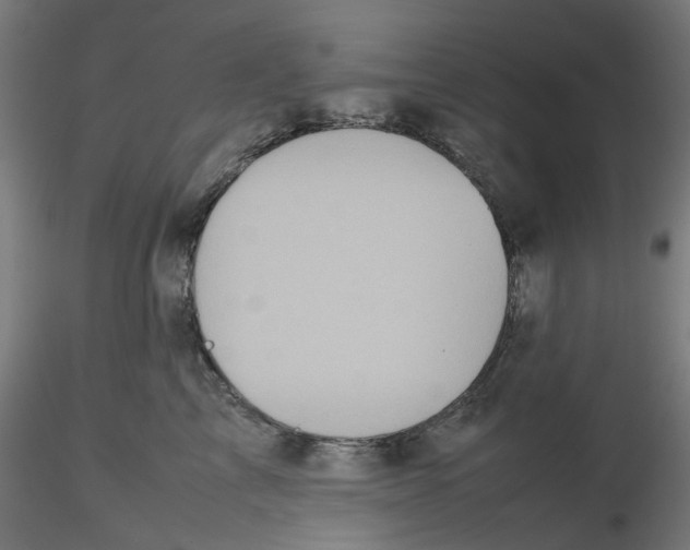 X0000116100713200912211611