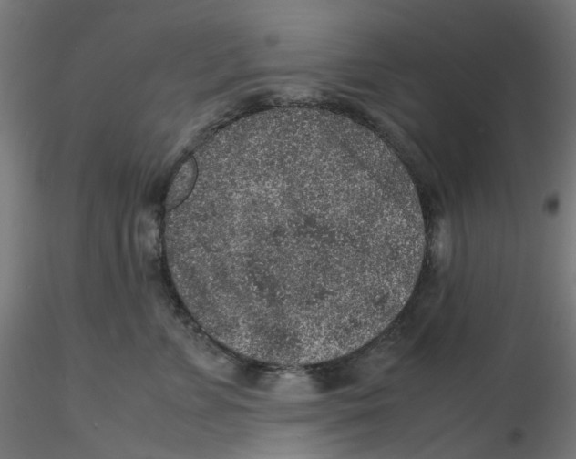 X0000116100715200912211611