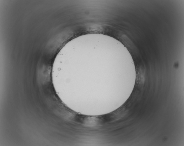 X0000116100717200912211611