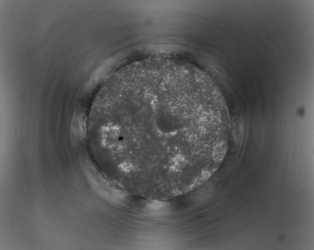 X0000116100718200912211611