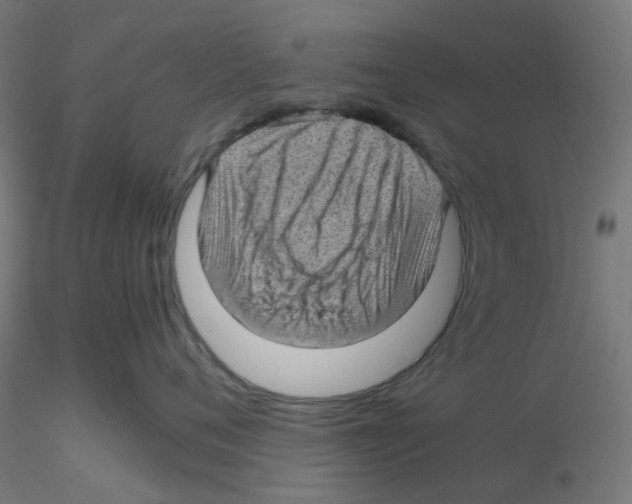 X0000116100720200912211611