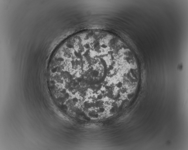 X0000116100721200912211611