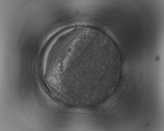 X0000116100722200912211611