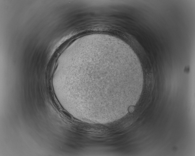 X0000116100727200912211611