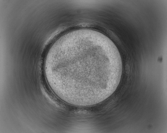 X0000116100730200912211611