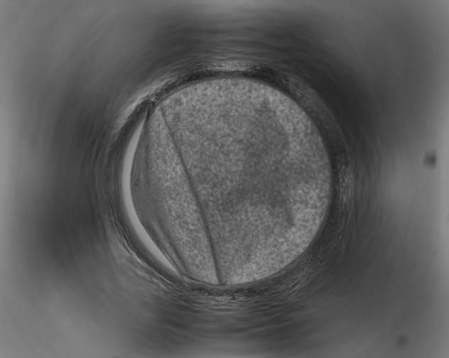 X0000116100731200912211611