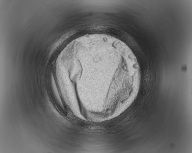 X0000116100734200912211611