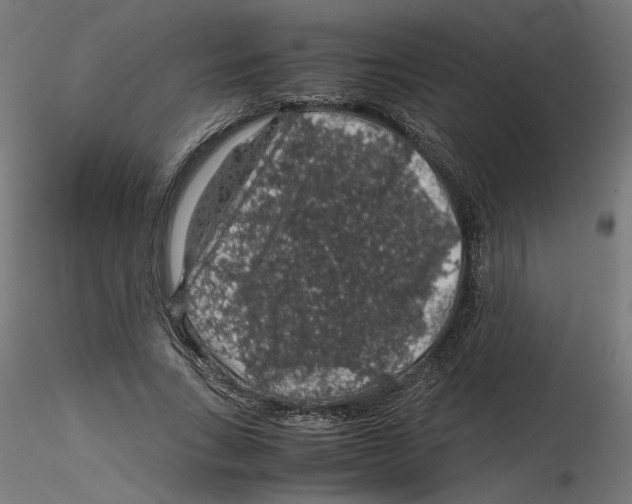 X0000116100735200912211611