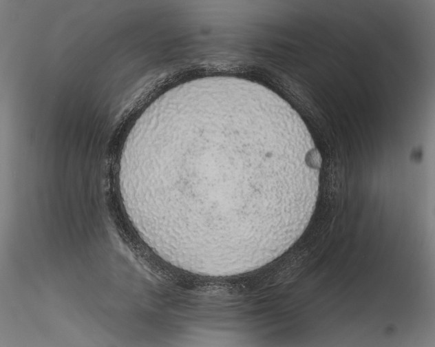 X0000116100738200912211611