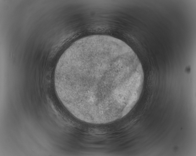 X0000116100739200912211611