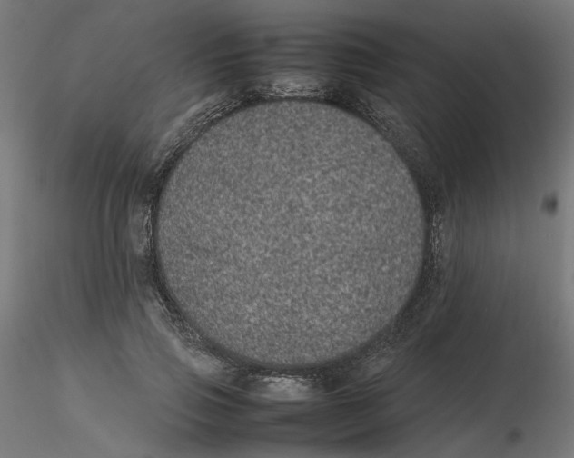 X0000116100741200912211611