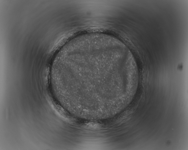 X0000116100742200912211611