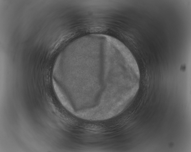 X0000116100743200912211611