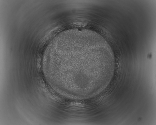 X0000116100745200912211611