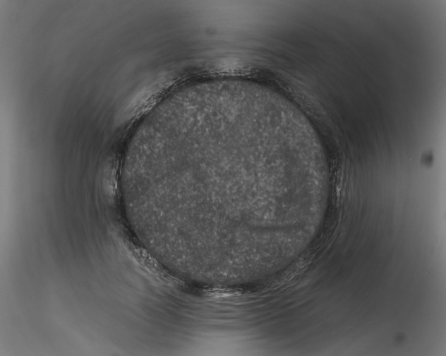 X0000116100746200912211611