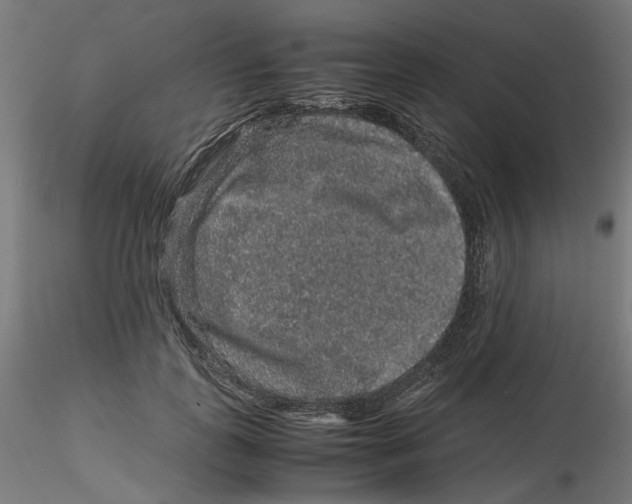 X0000116100747200912211611