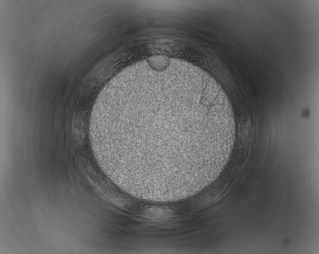 X0000116100749200912211611