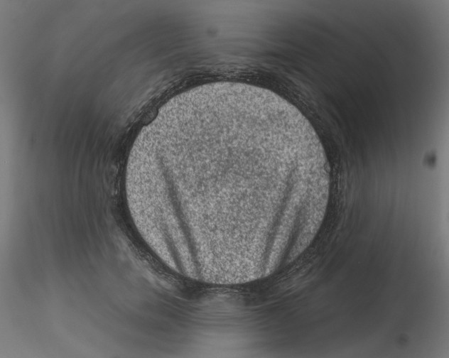 X0000116100750200912211611