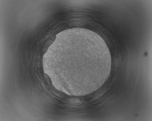 X0000116100751200912211611