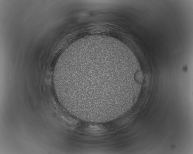 X0000116100753200912211611