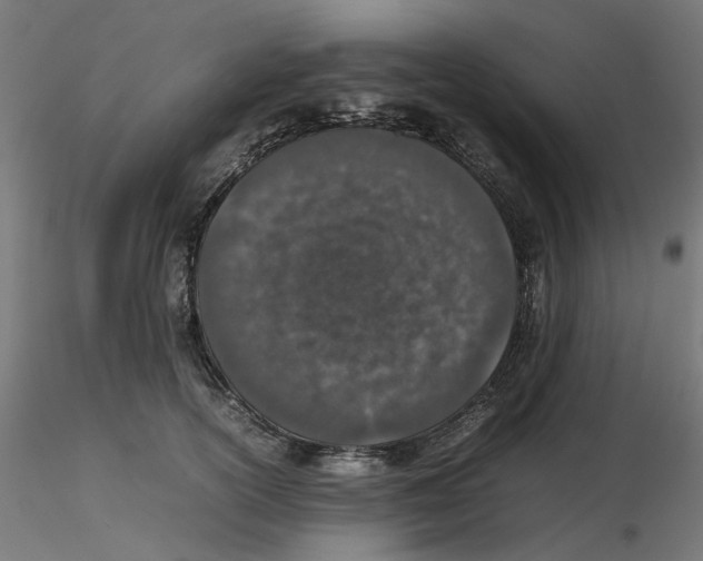 X0000116100754200912211611