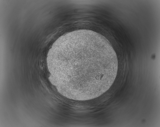 X0000116100755200912211611