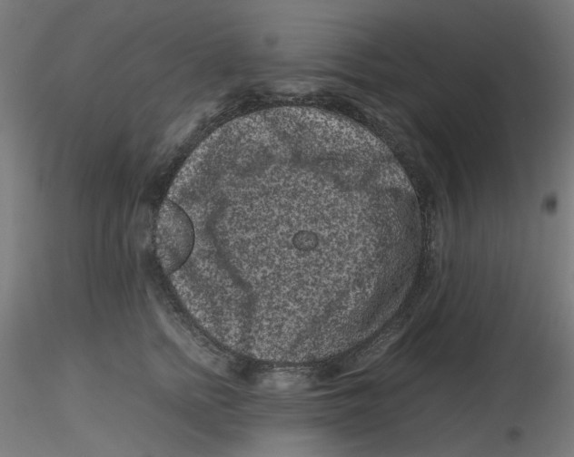 X0000116100758200912211611