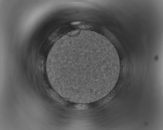 X0000116100762200912211611