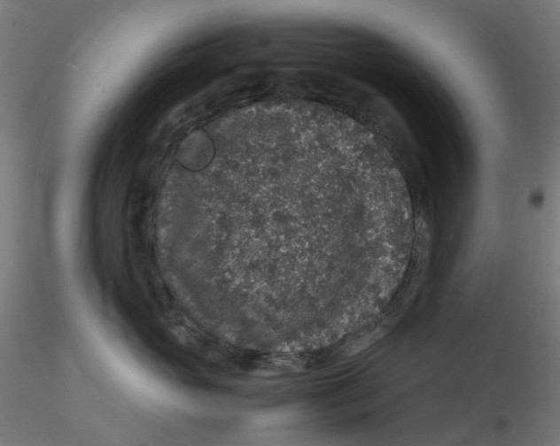 X0000116100765200912211611