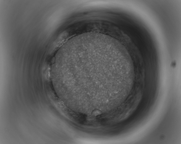 X0000116100766200912211611