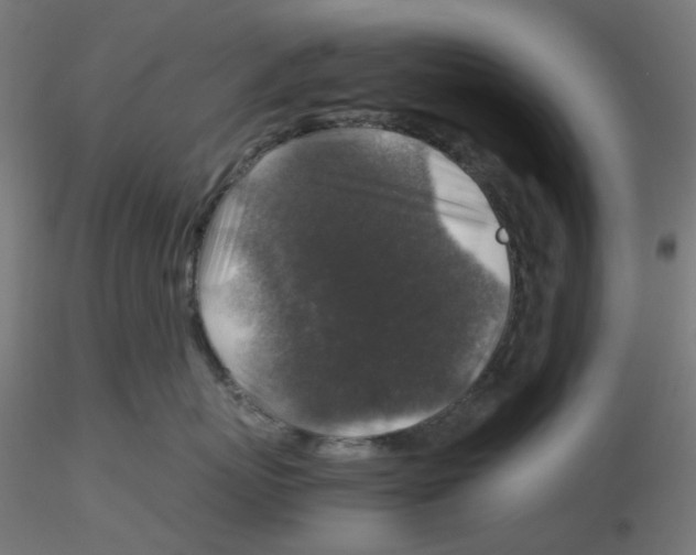 X0000116100767200912211611