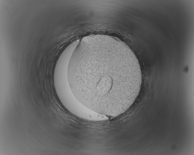 X0000116100769200912211611