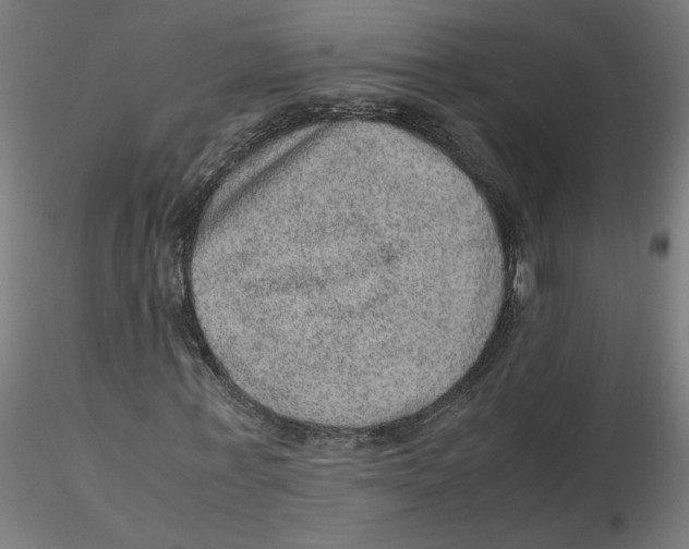 X0000116100771200912211610