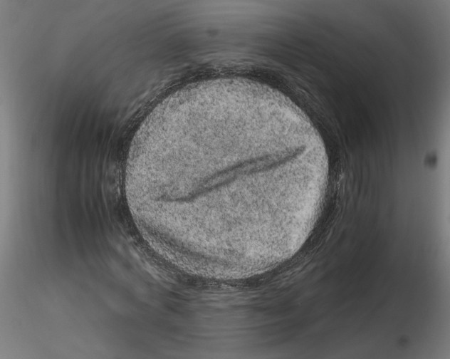 X0000116100772200912211610