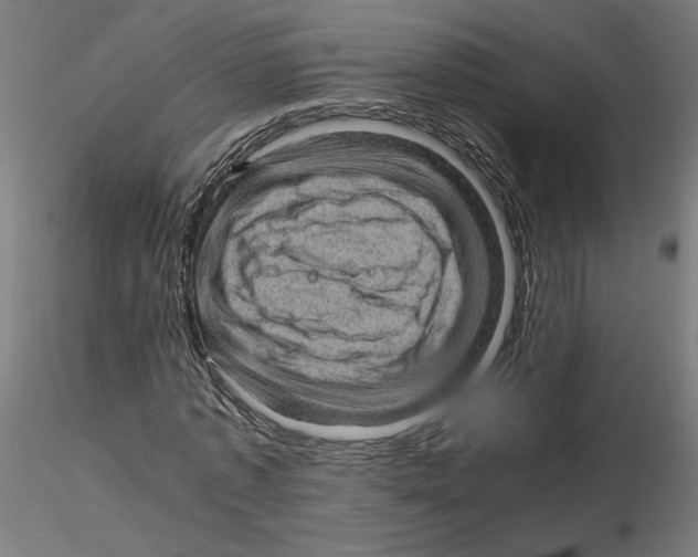 X0000116100773200912211610